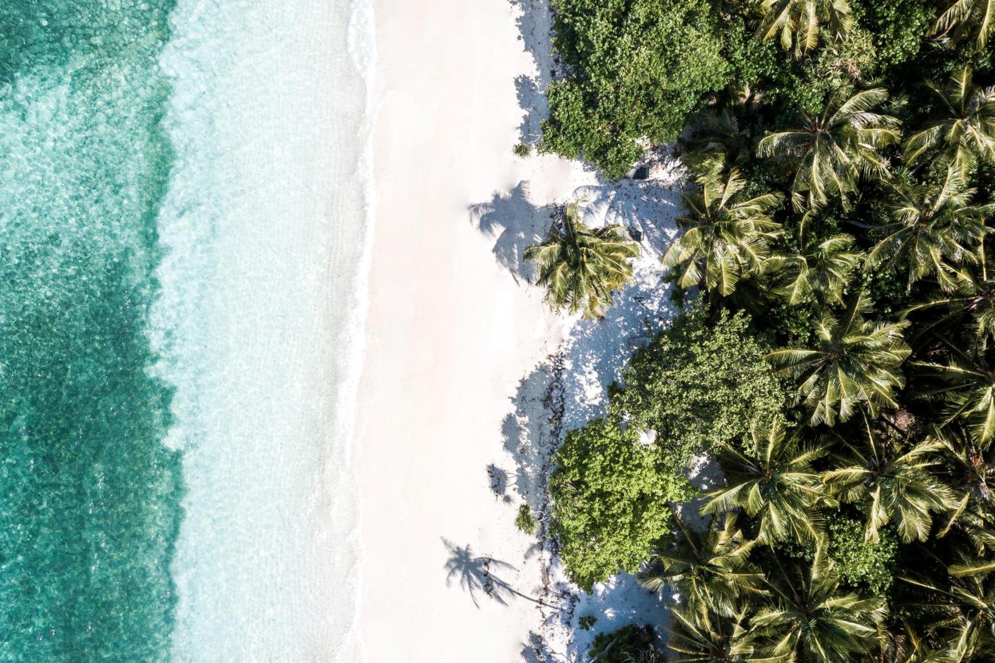 Отель Tropical Tree Fehendhoo Экстерьер фото