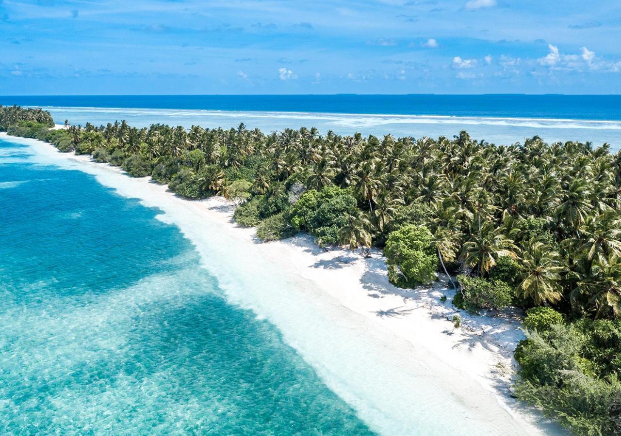 Отель Tropical Tree Fehendhoo Экстерьер фото